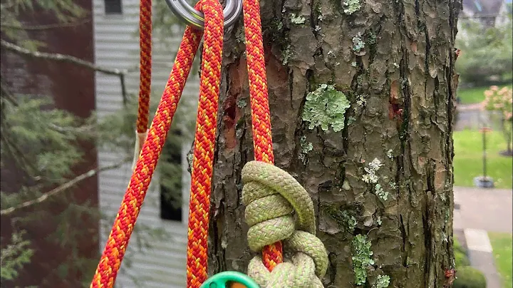 Arborist Spar / Canopy anchor with DMM ring
