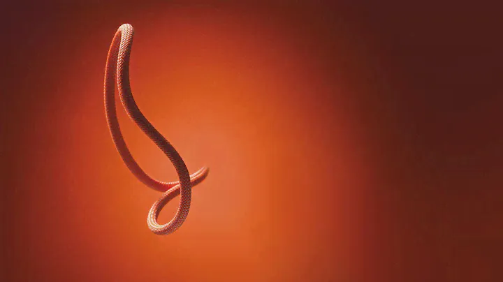 Petzl Dynamic Ropes