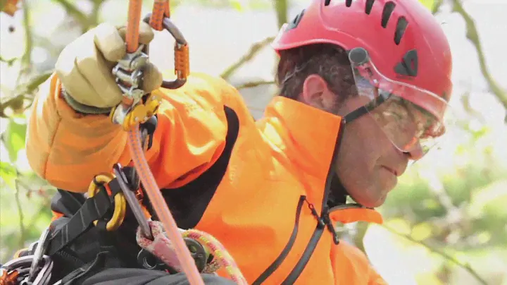 Petzl ZigZag In Action - The Mechanical Prusik for Arborists