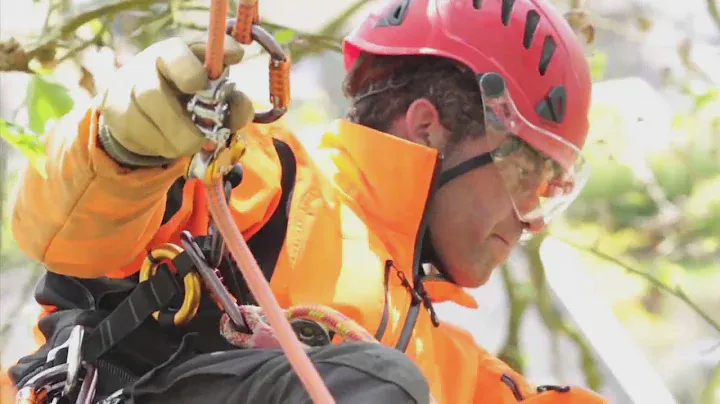 ZIGZAG   Mechanical Prusik for arborists RU   Petzl mp4