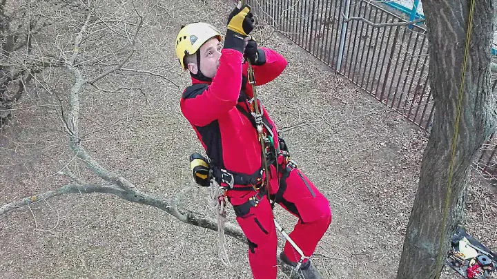 Tree climbing SRT set Petzl ZigZag Plus + Chicane + Knee Ascent