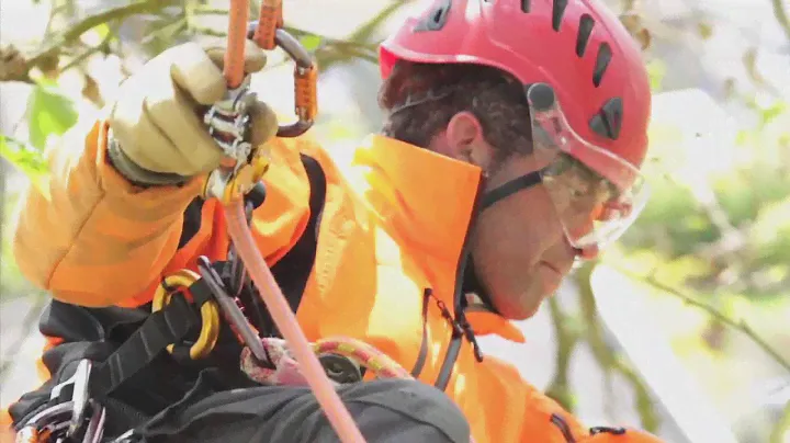 ZIGZAG - Mechanical Prusik for arborists DRT Climbing