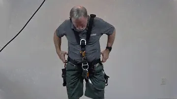 Avao Harness