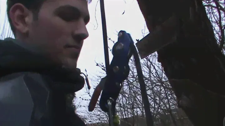 Petzl Stop demo
