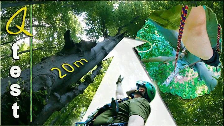 Tree Climbing: Ascending with Petzl Top Croll L Chest Harness (Quick Test)